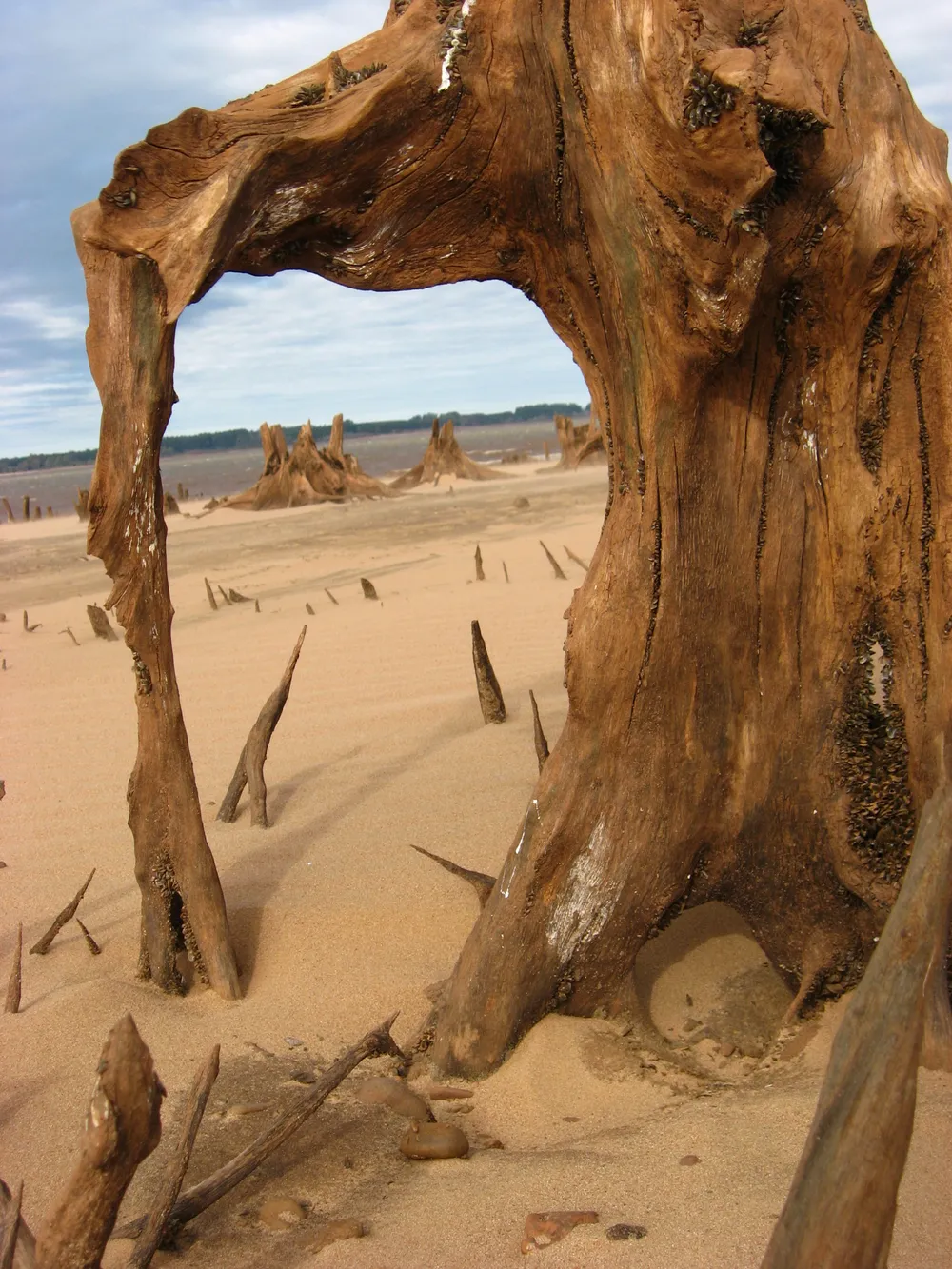 Concordia, Argentina