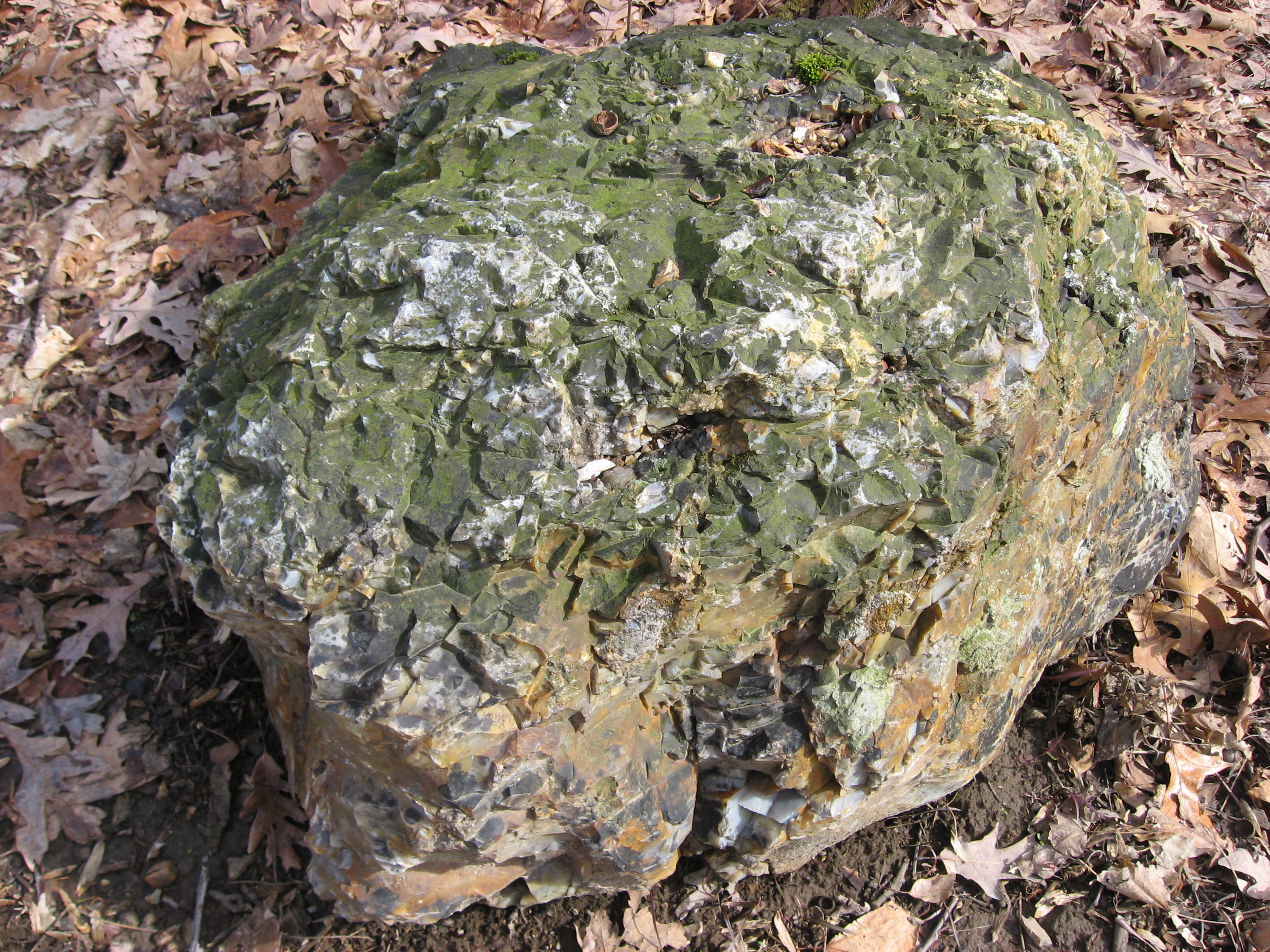 Flint Ridge State Memorial