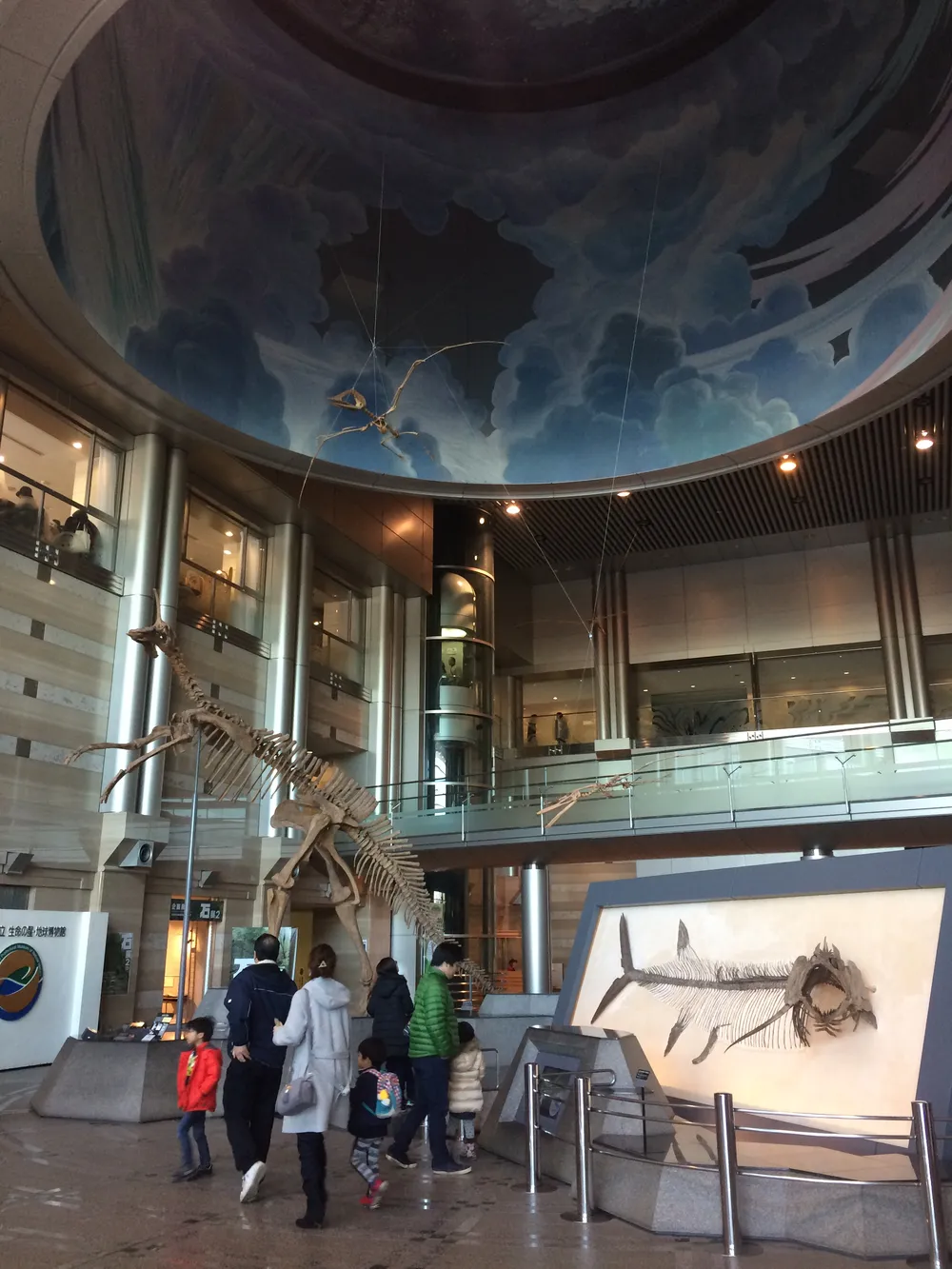 Kanagawa Prefectural Museum of Natural History