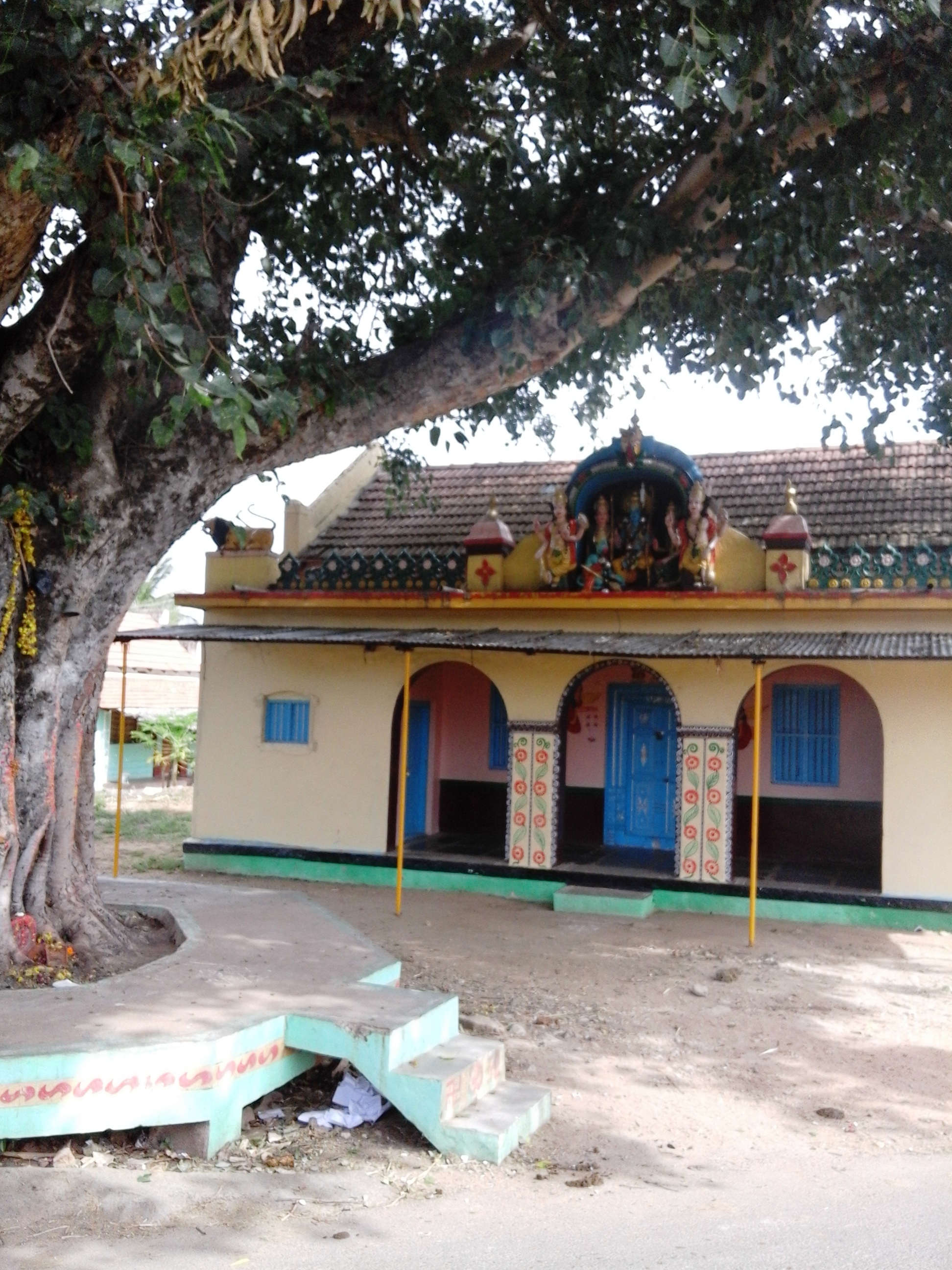 Badanaguppe, India