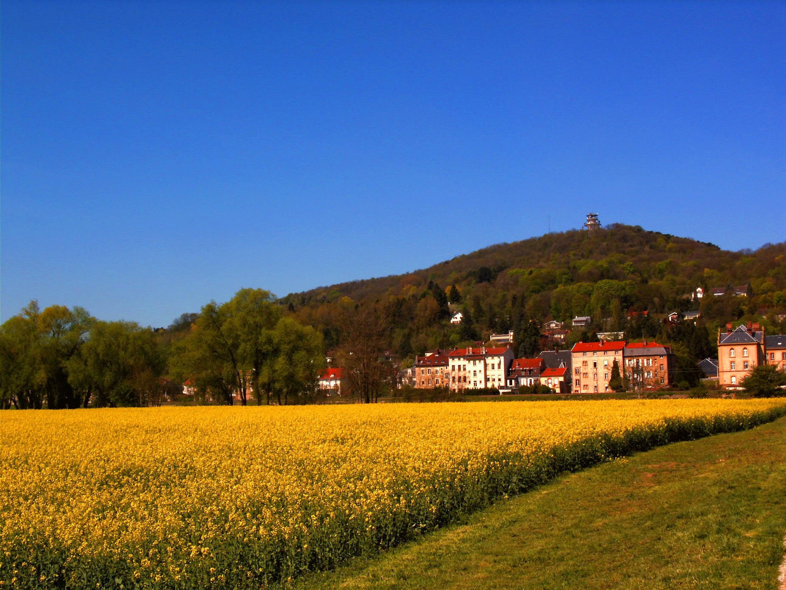Mont-Saint-Quentin