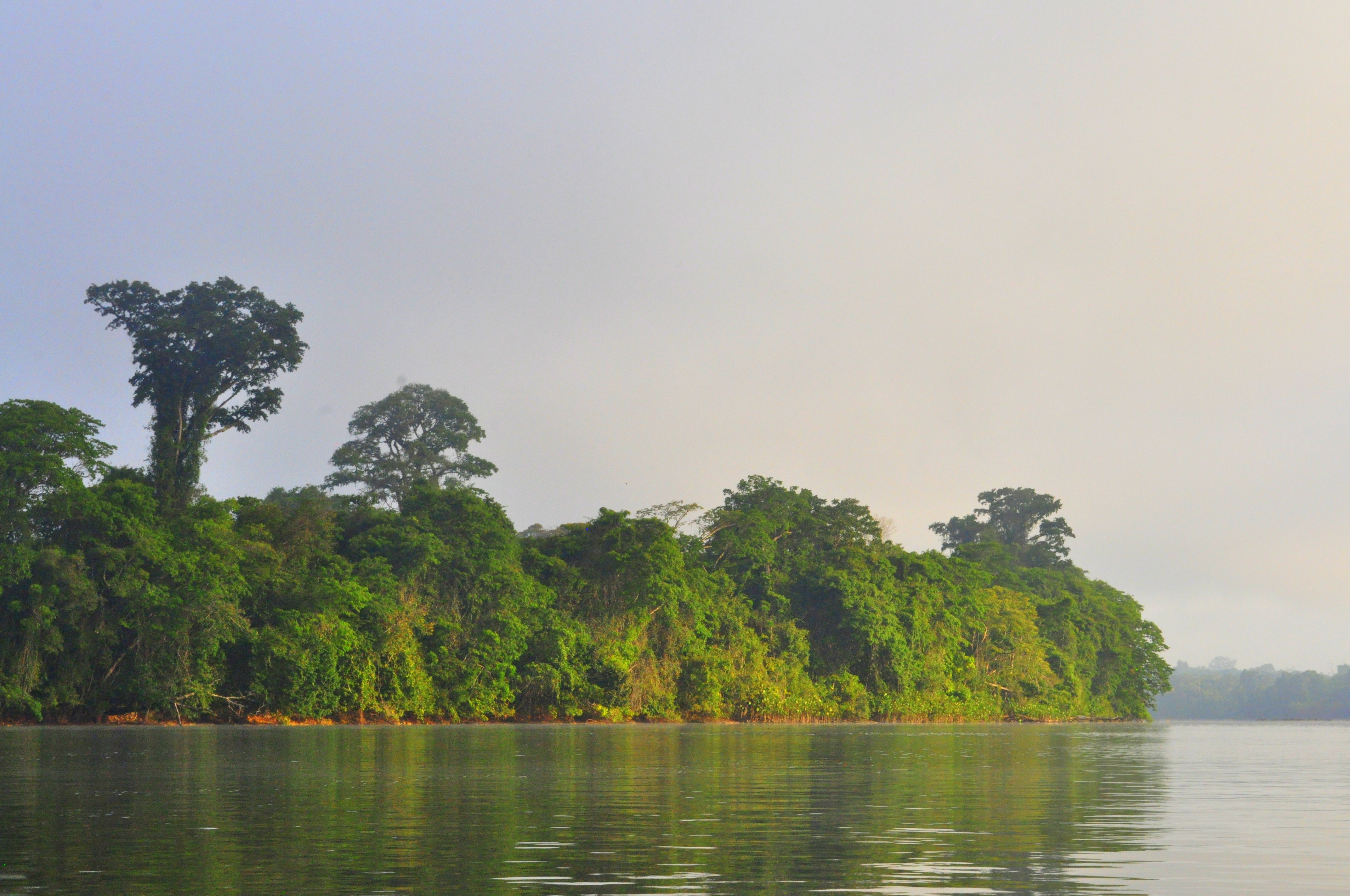 Guiana Amazonian Park