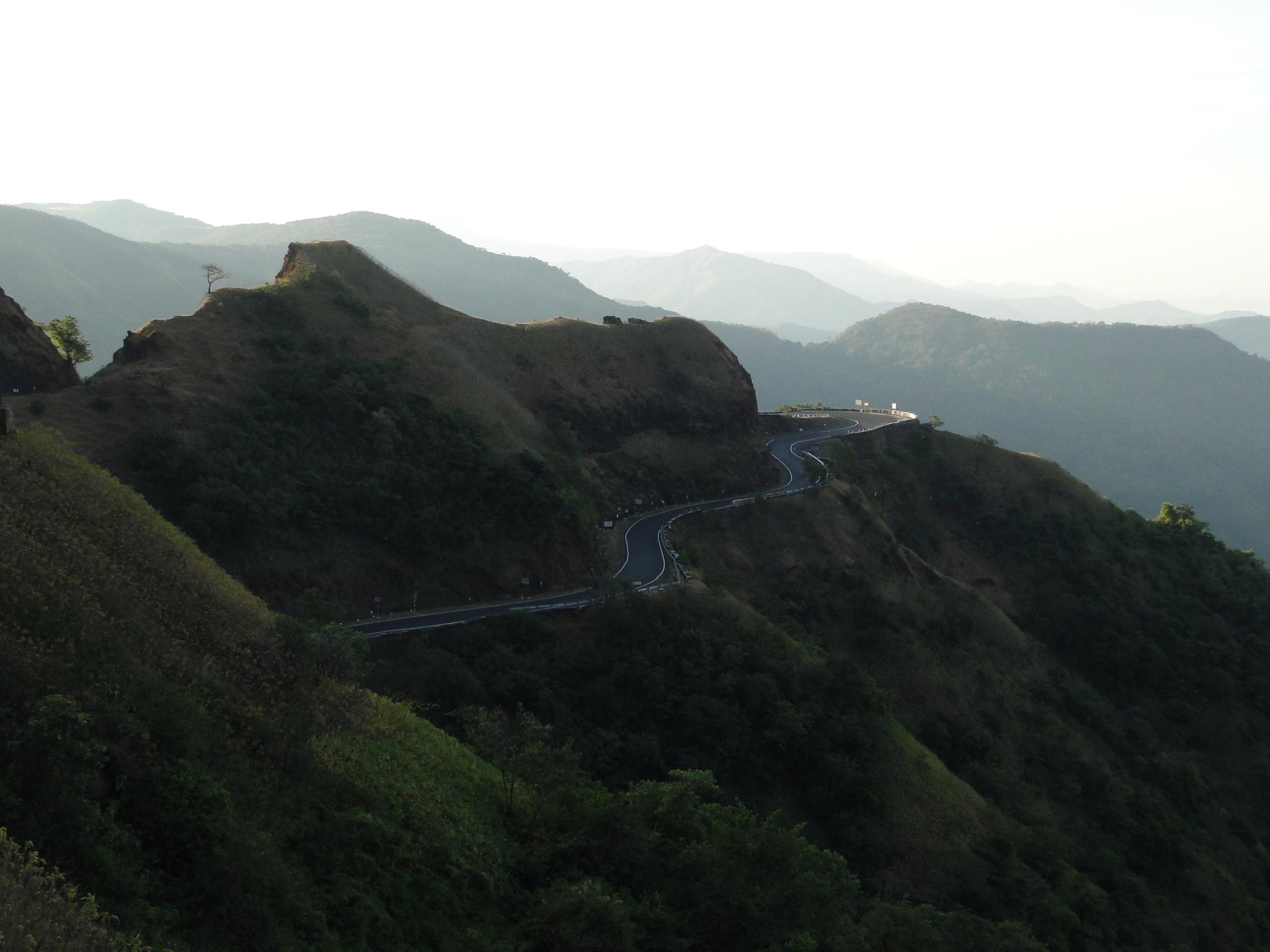 Dajipur, India