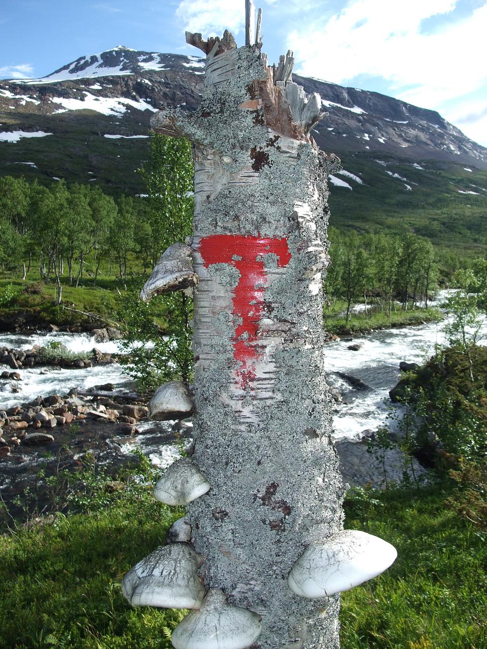 Junkerdal National Park