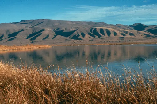 Fallon, United States