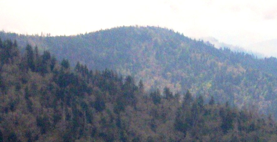Mount Sequoyah
