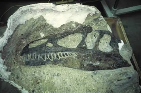 Dinosaur National Monument, United States