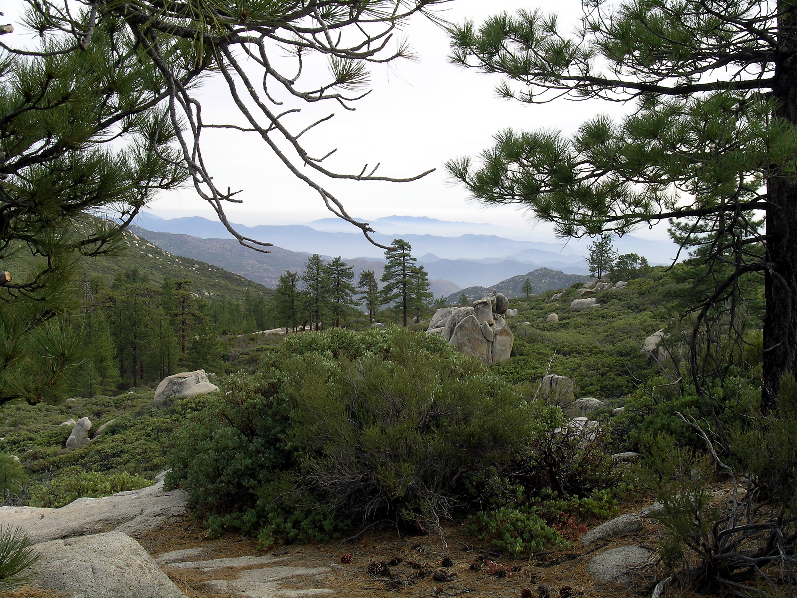 Sierra de San Pedro Mártir National Park, Mexico