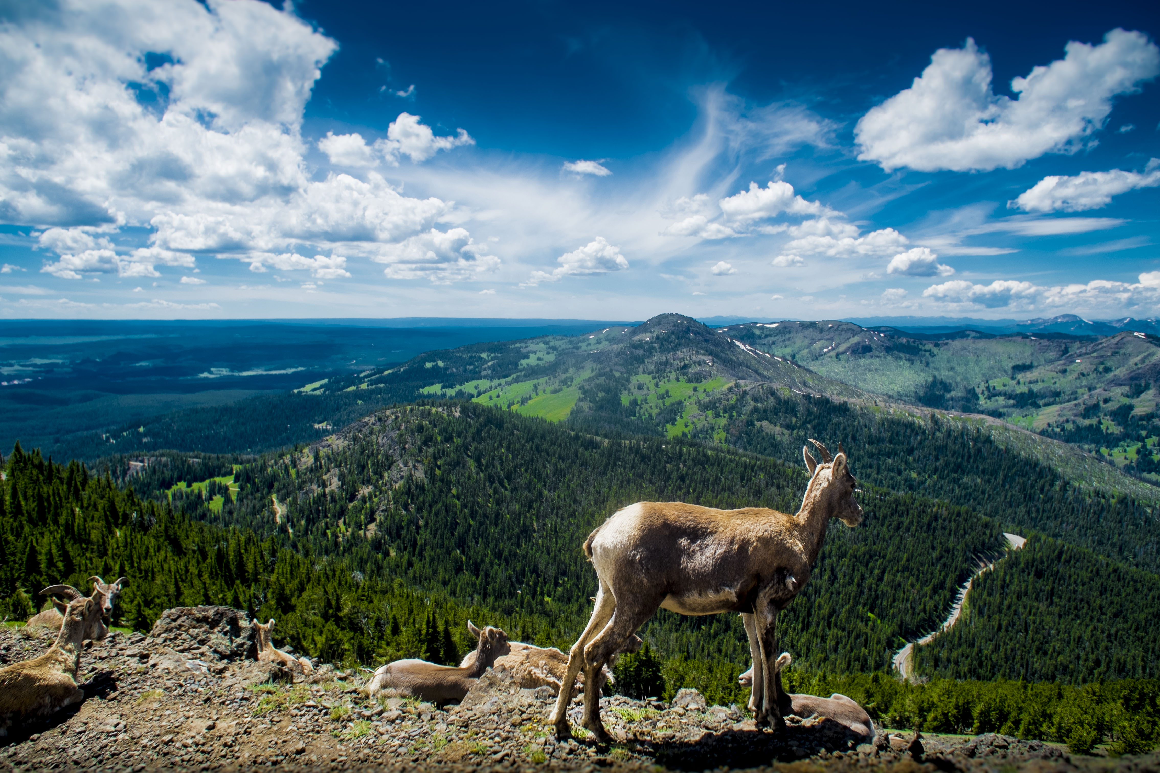 Mount Washburn