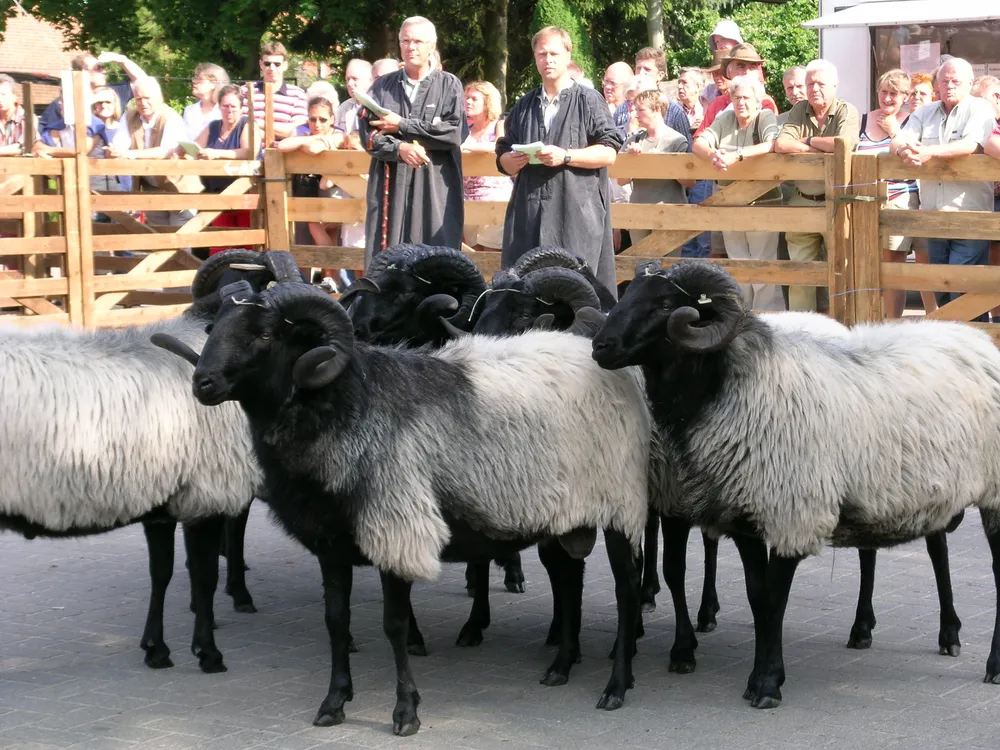 Müden, Germany