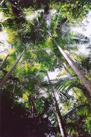Middle Brother National Park