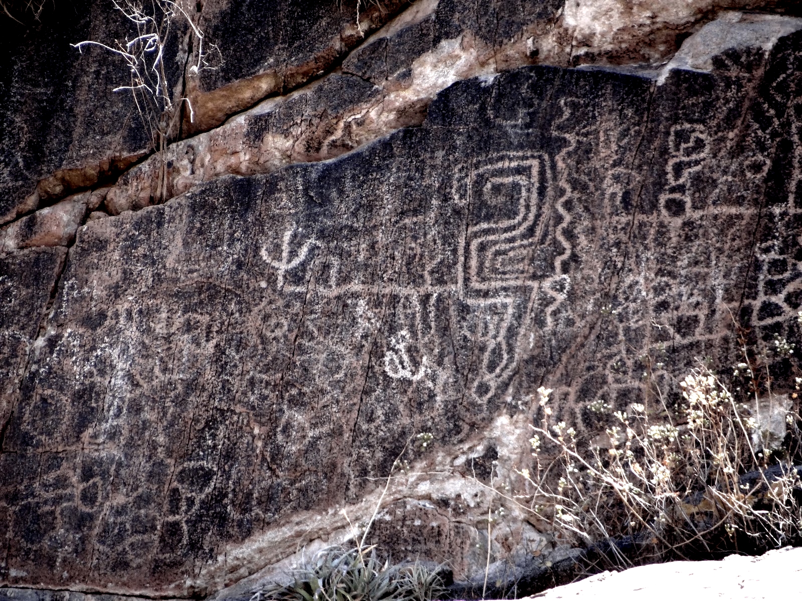 San Agustín de Valle Fértil, Argentina