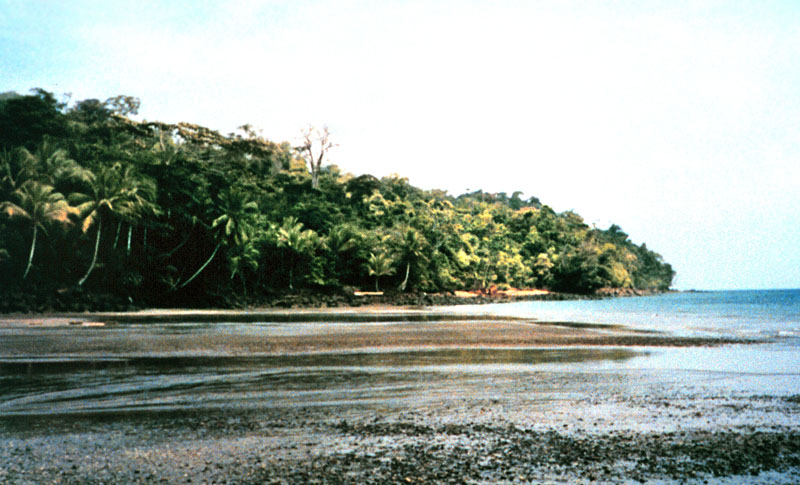 Isla Gorgona, Colombia
