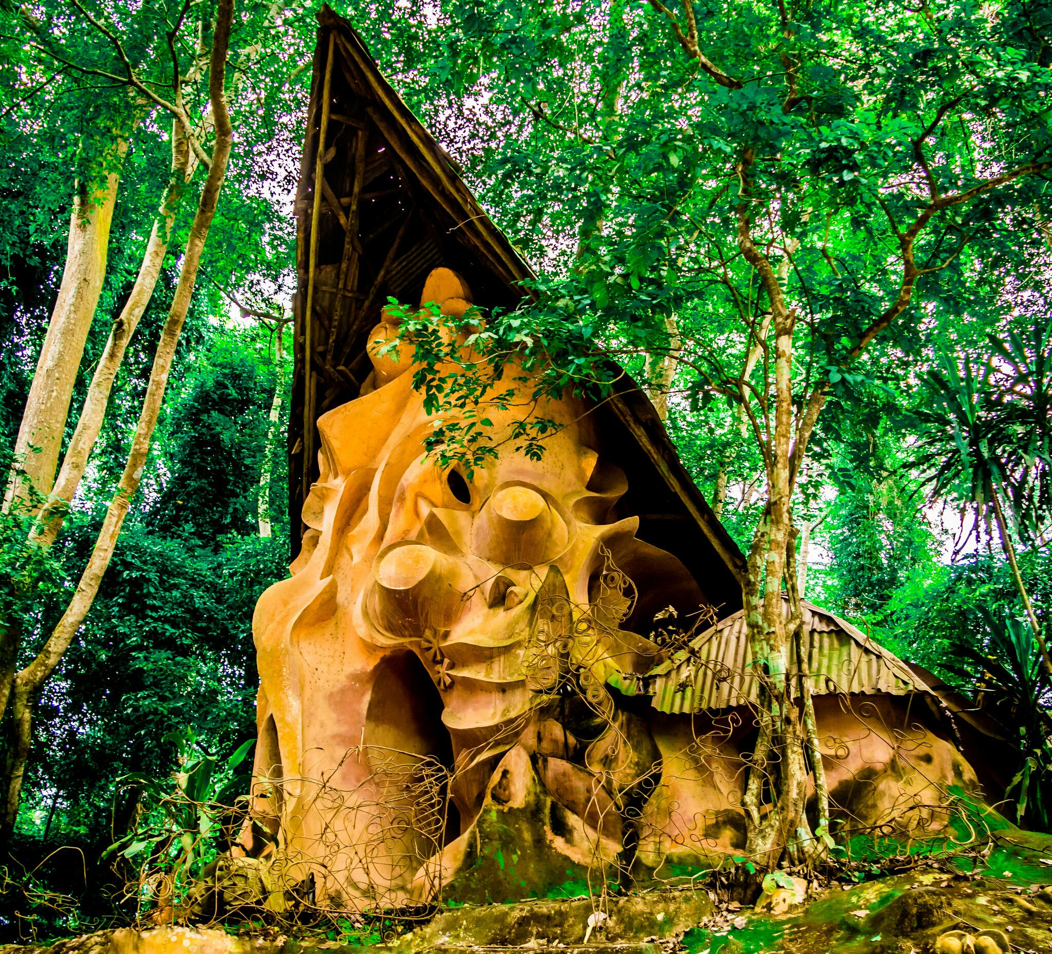 Osun-Osogbo Grove
