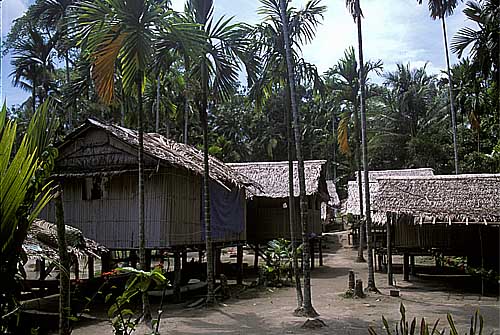 Milne Bay, Papua New Guinea