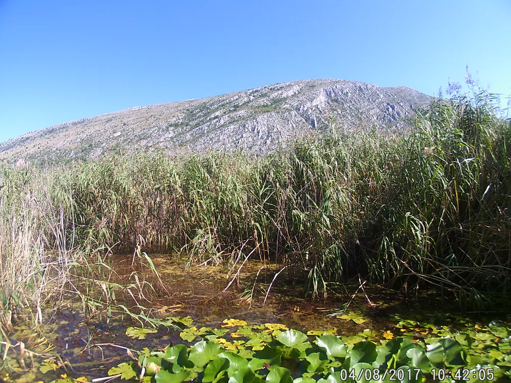 Dragoman marsh, Bulgaria