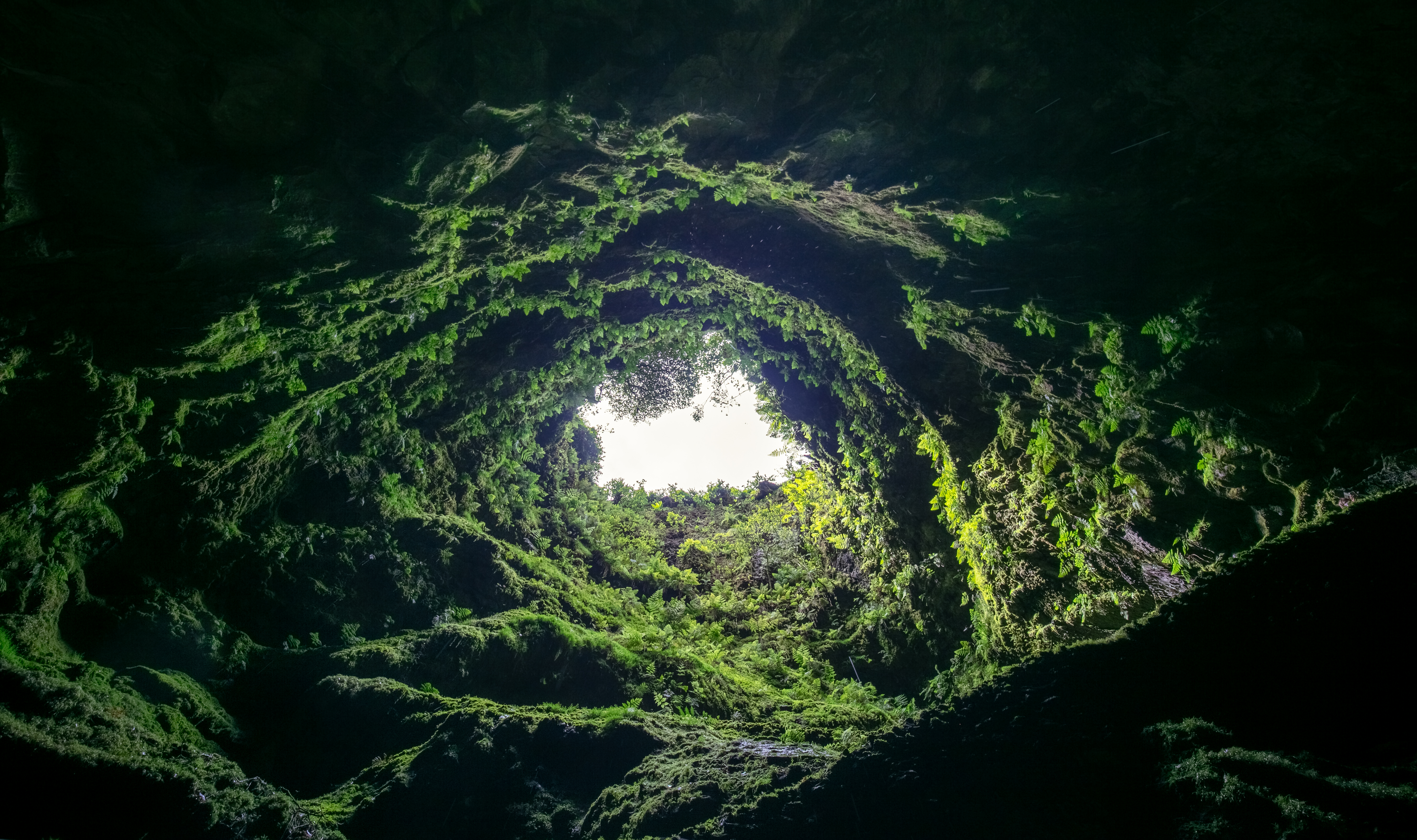 Algar do Carvão