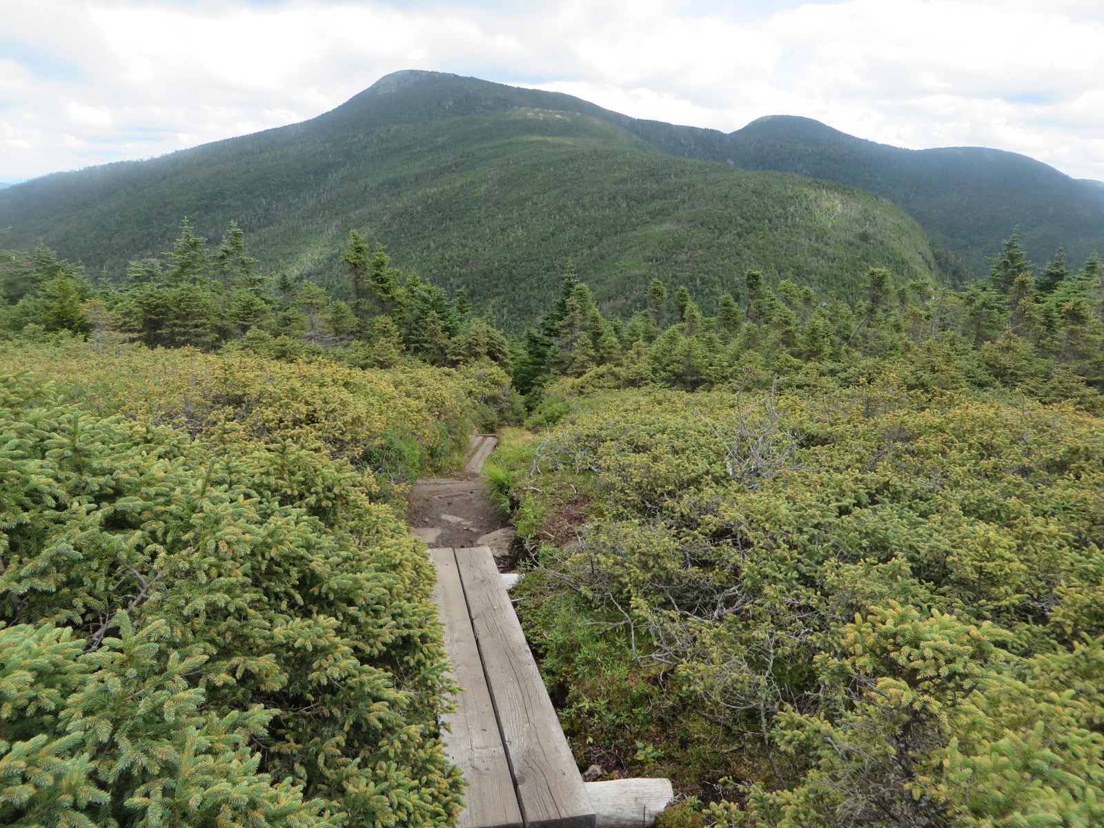 Goose Eye Mountain
