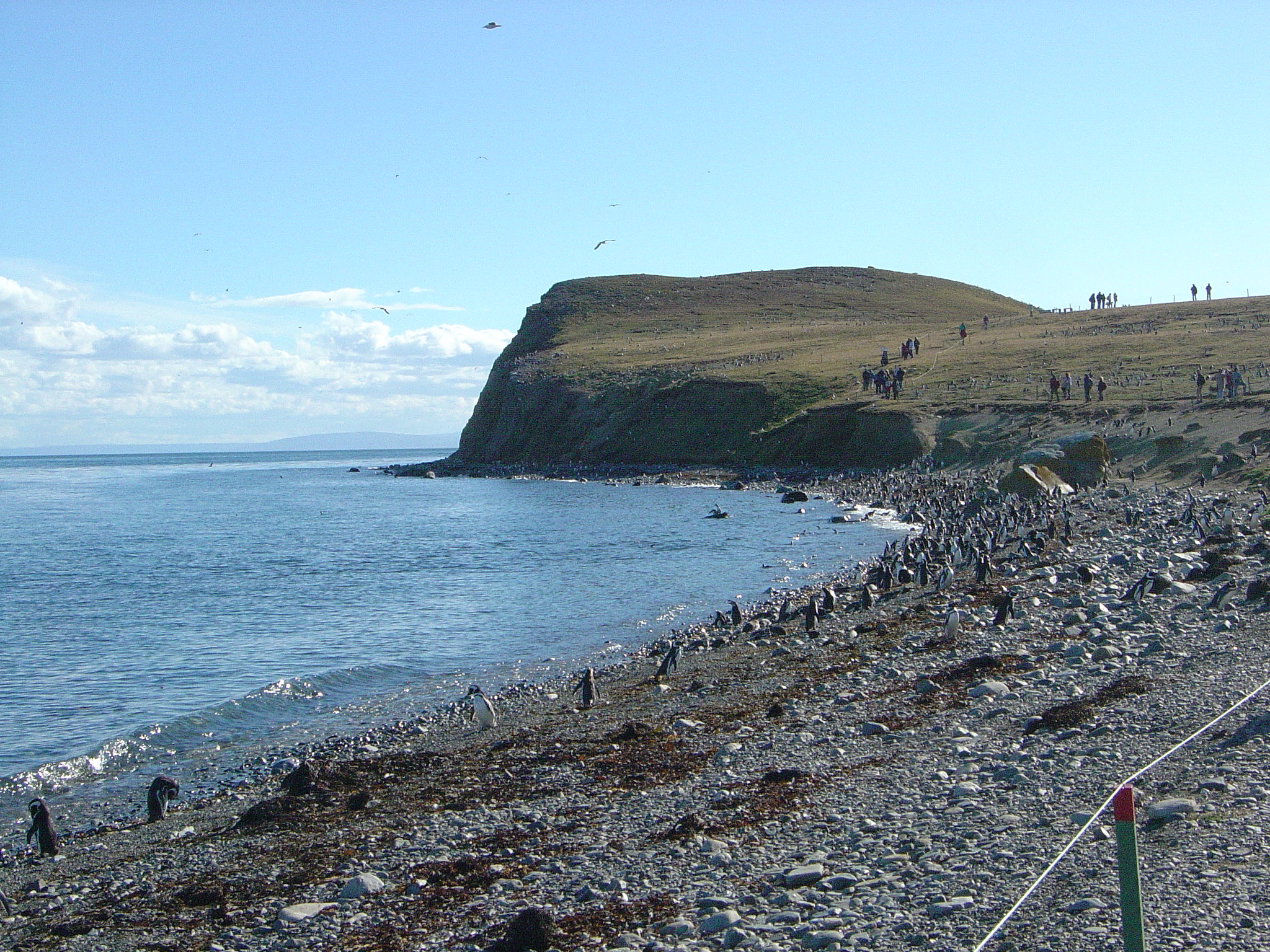 Los Pingüinos Natural Monument