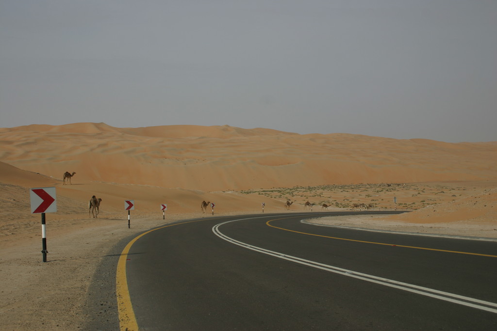Liwa Oasis, United Arab Emirates
