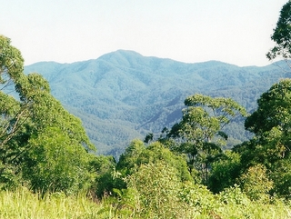 Willi Willi National Park