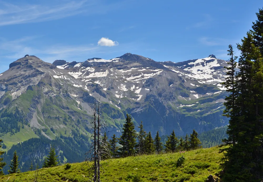 Weisshorn