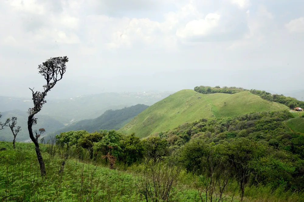 Shirui National Park