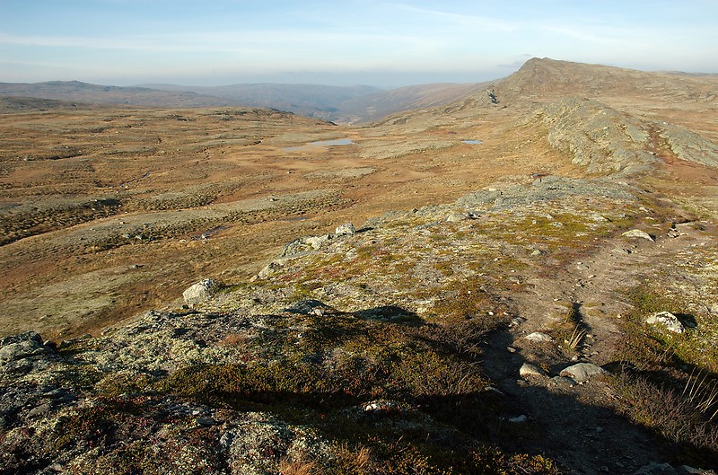 Forollhogna National Park
