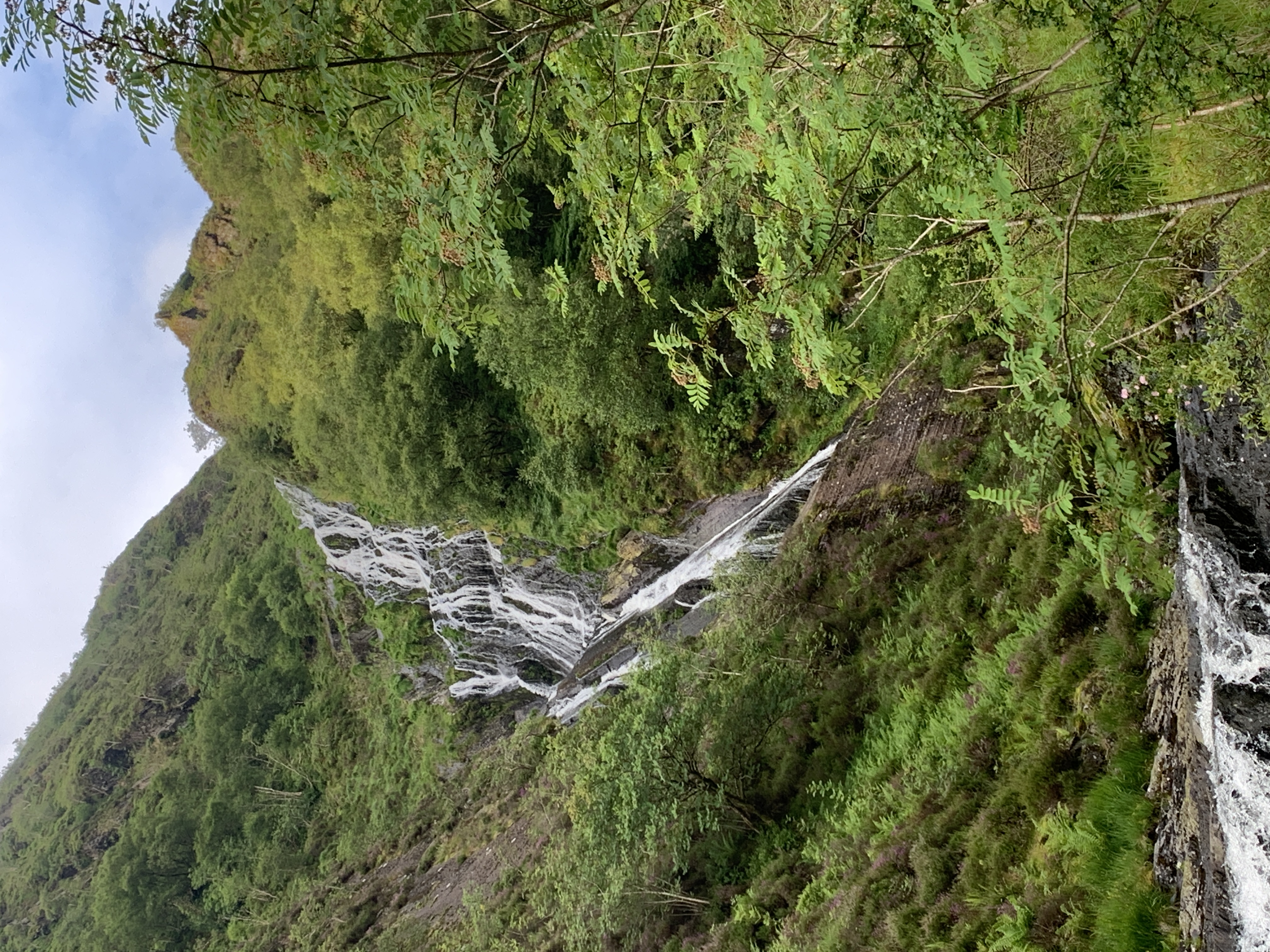 Pistyll y Llyn