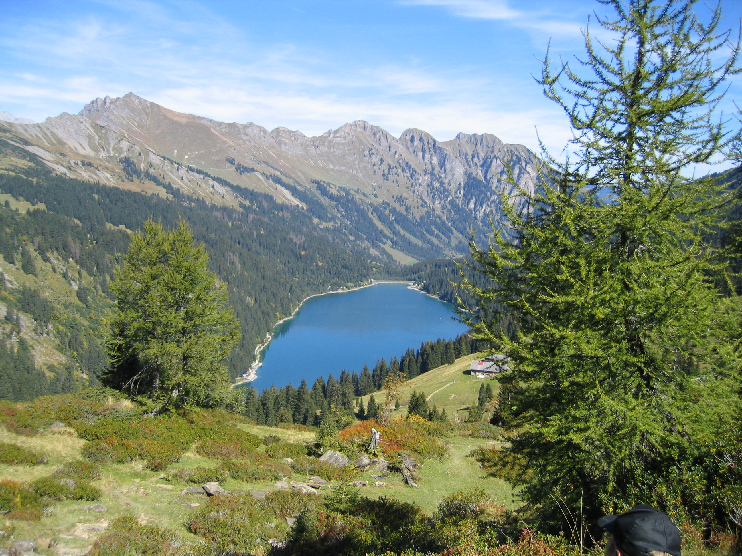 Witteberghore