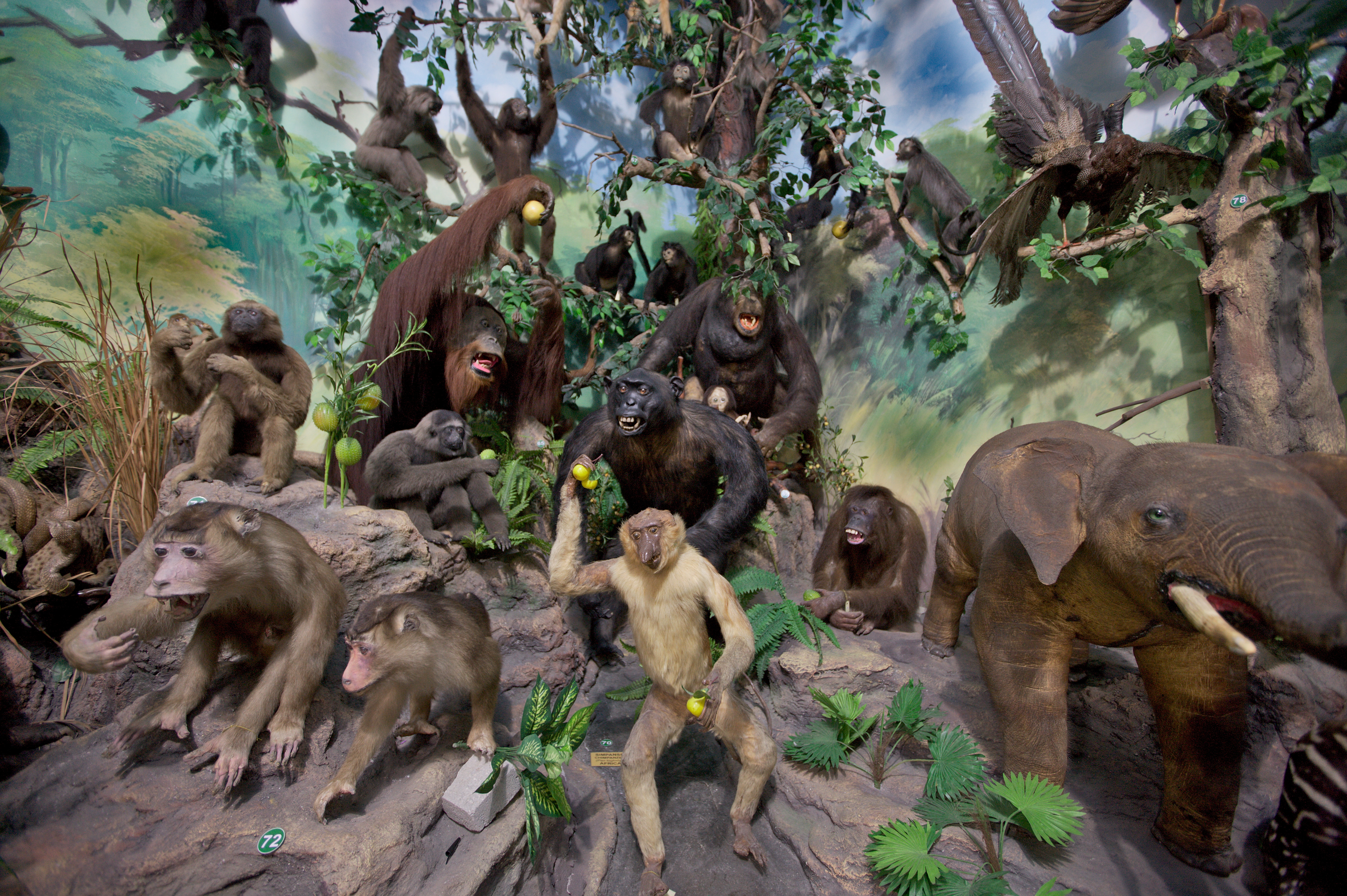 Rahmat International Wildlife Museum & Gallery