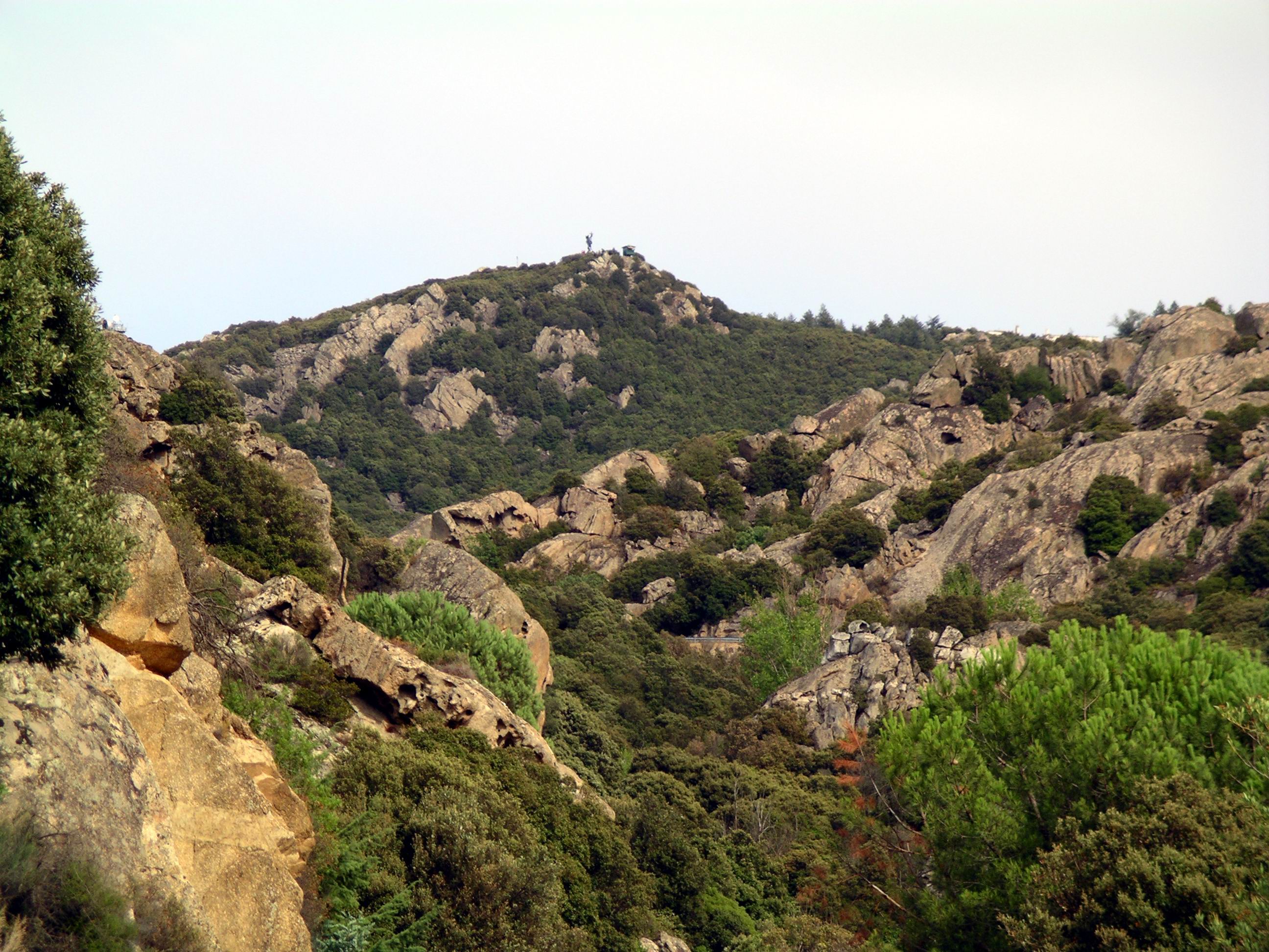 Ortobene