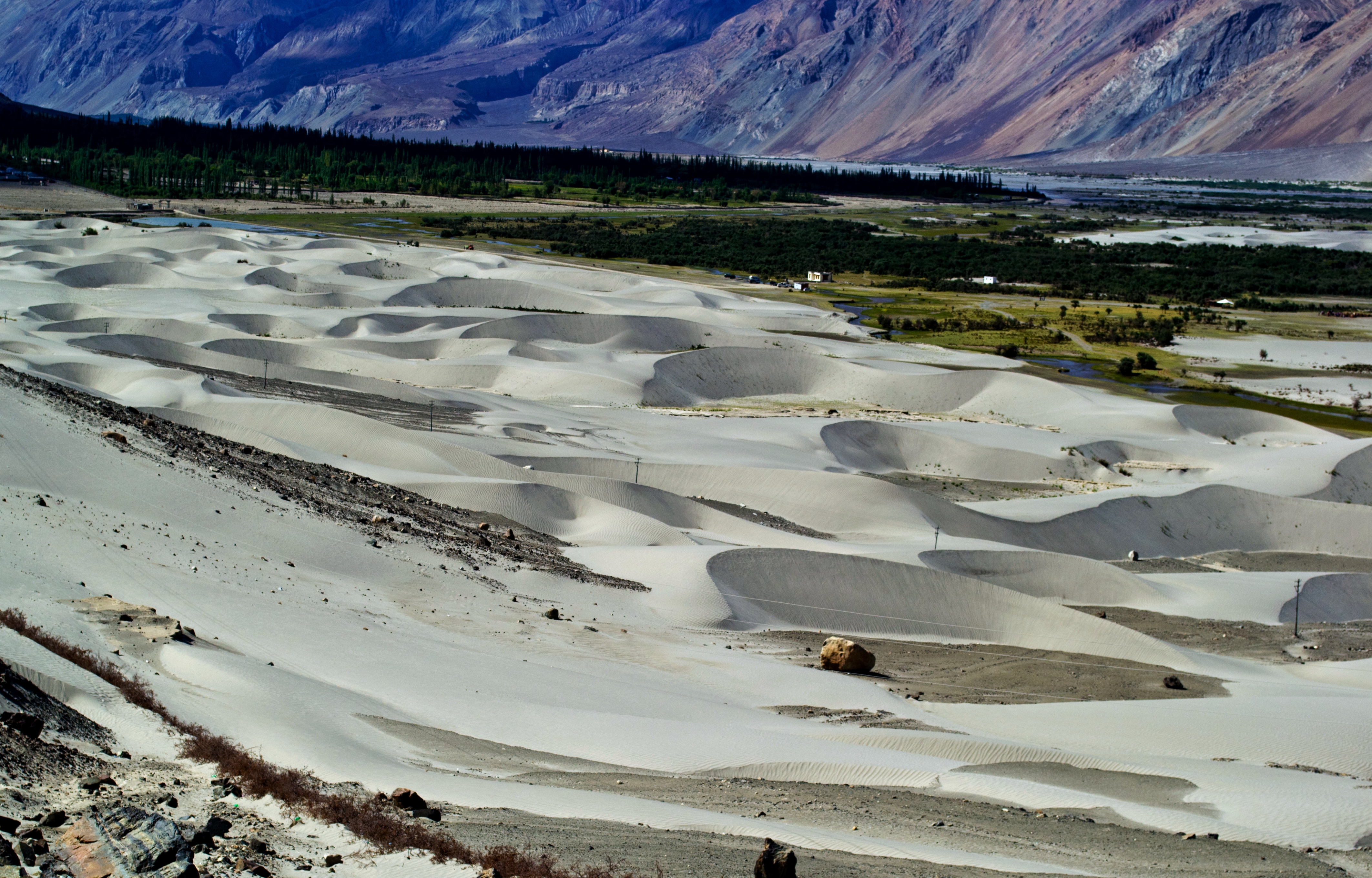 Nubra Valley, India