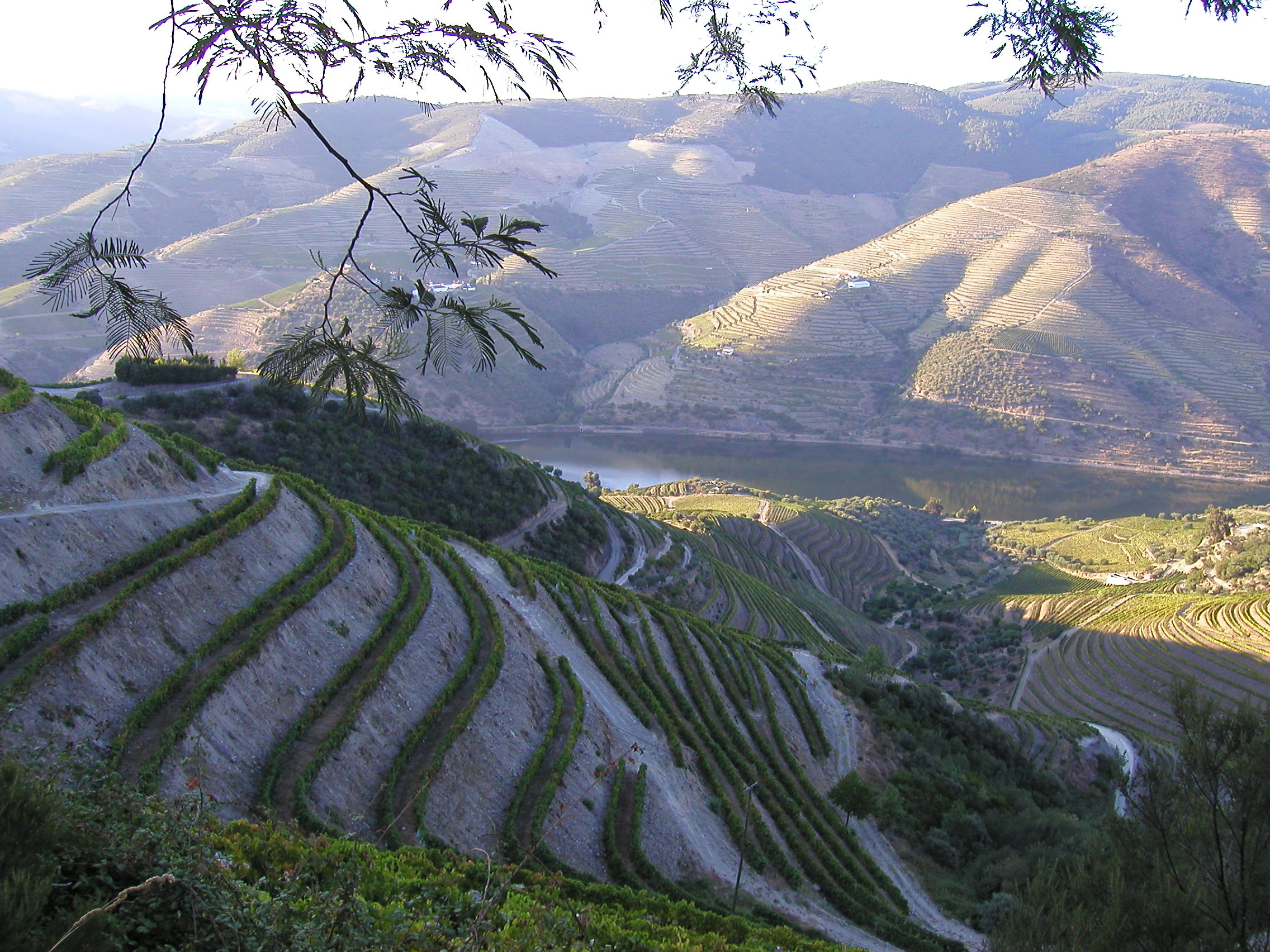 Douro Litoral, Portugal