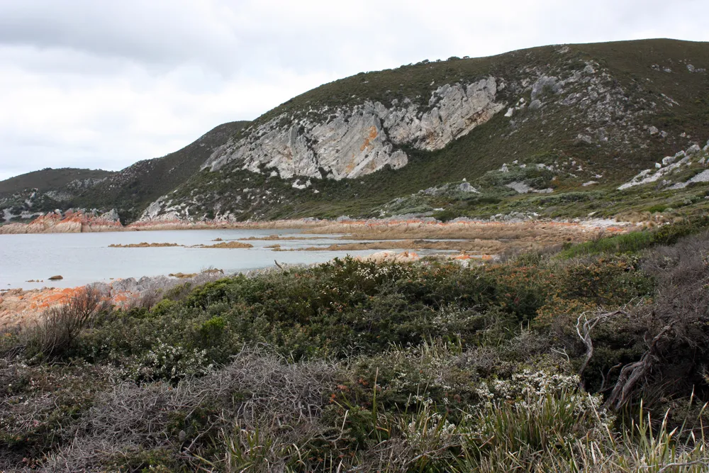 Rocky Cape National Park