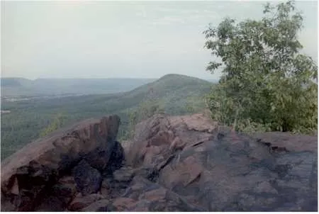Bare Mountain