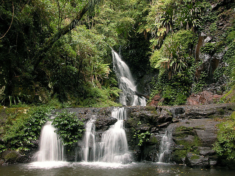 Lamington National Park, Australia