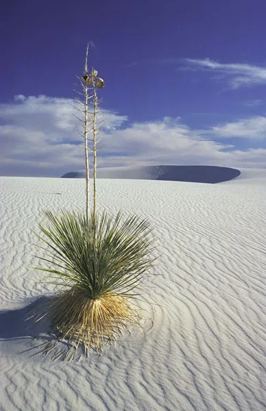 Southeast New Mexico, United States