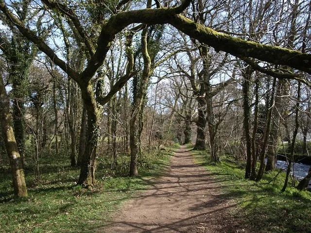 Two Moors Way, United Kingdom