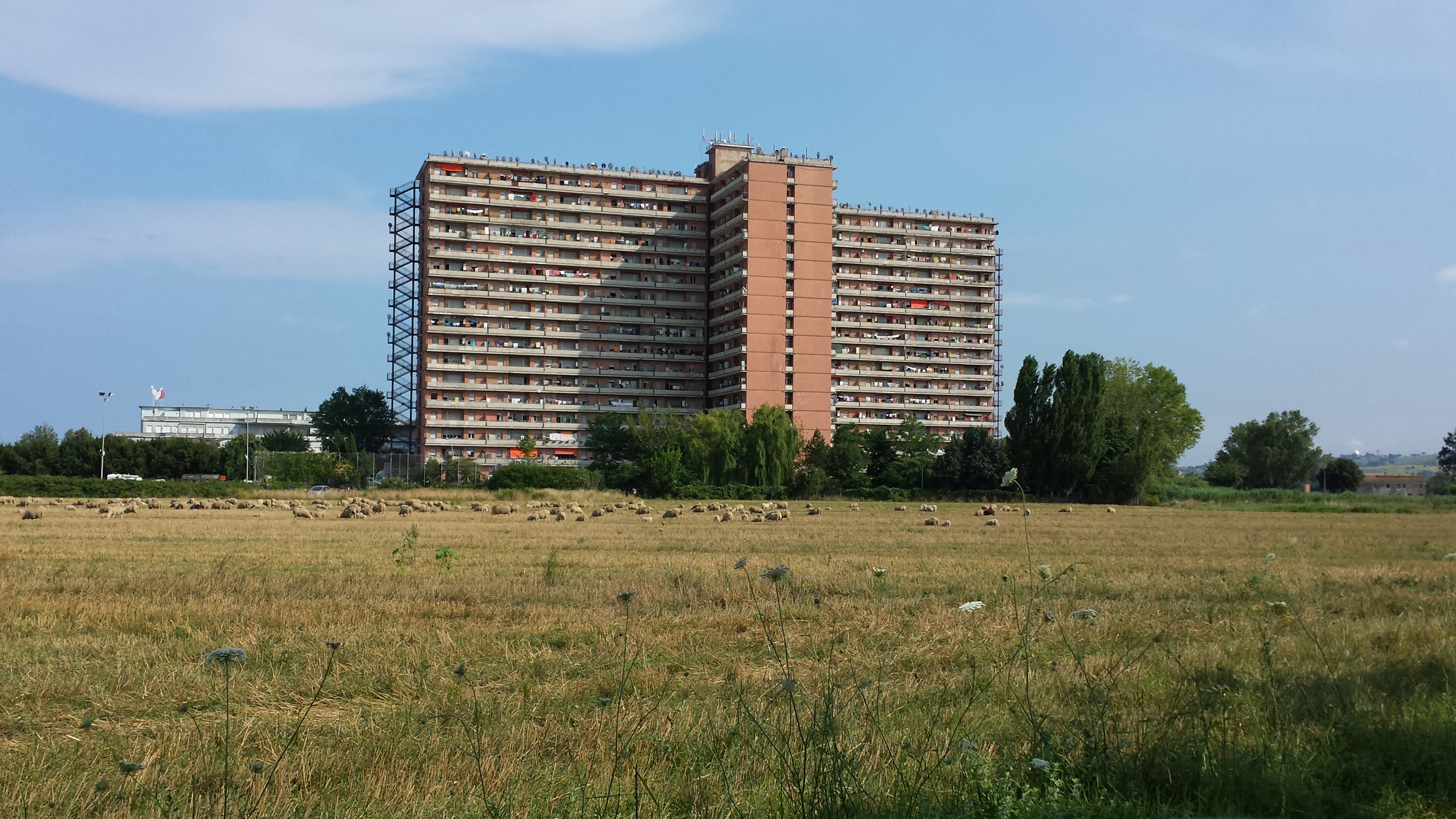 Hotel House