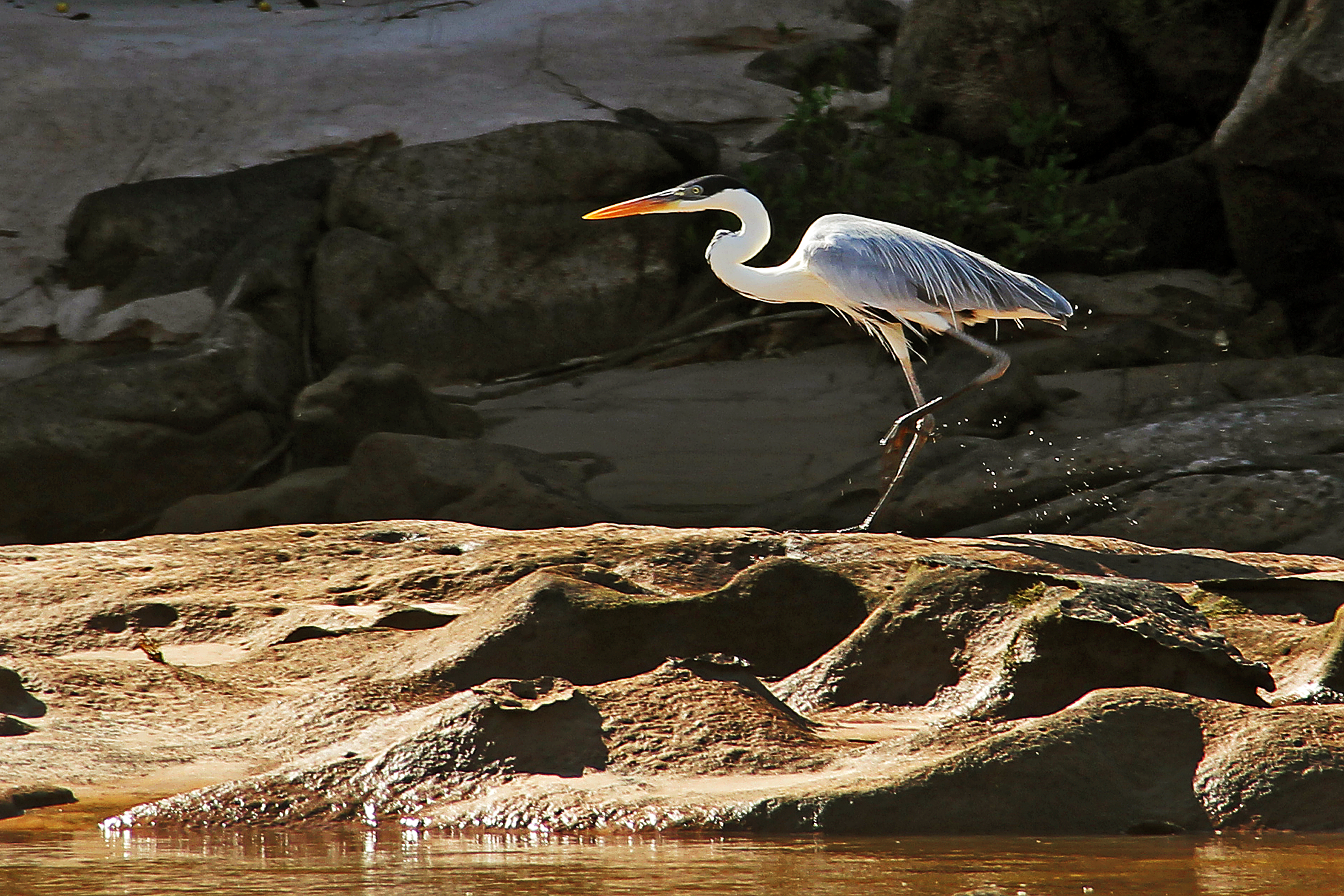 Araguaia National Park, Brazil