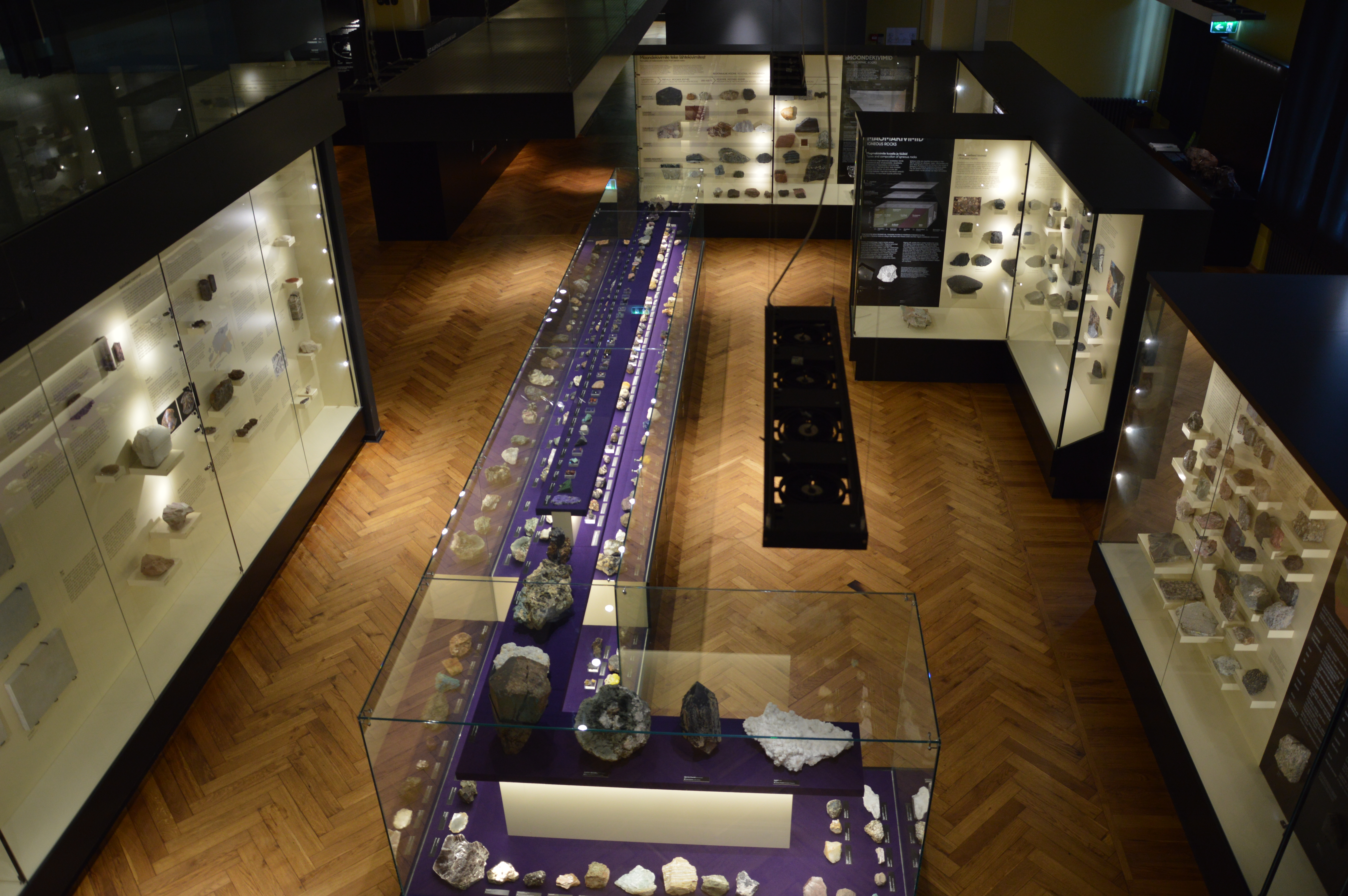 University of Tartu Natural History Museum