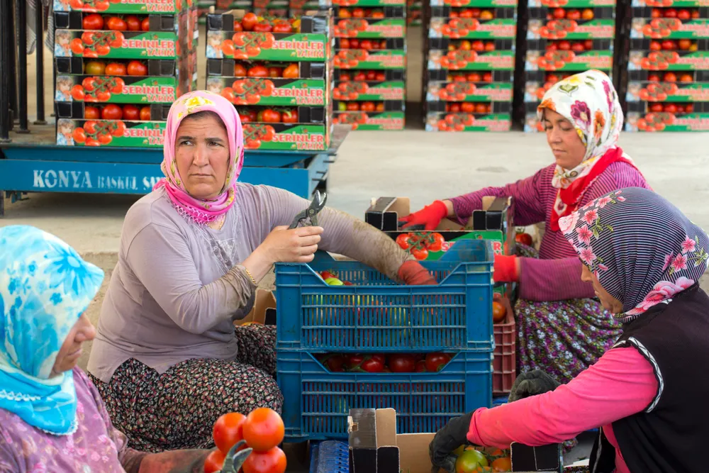 Erdemli district, Turkey