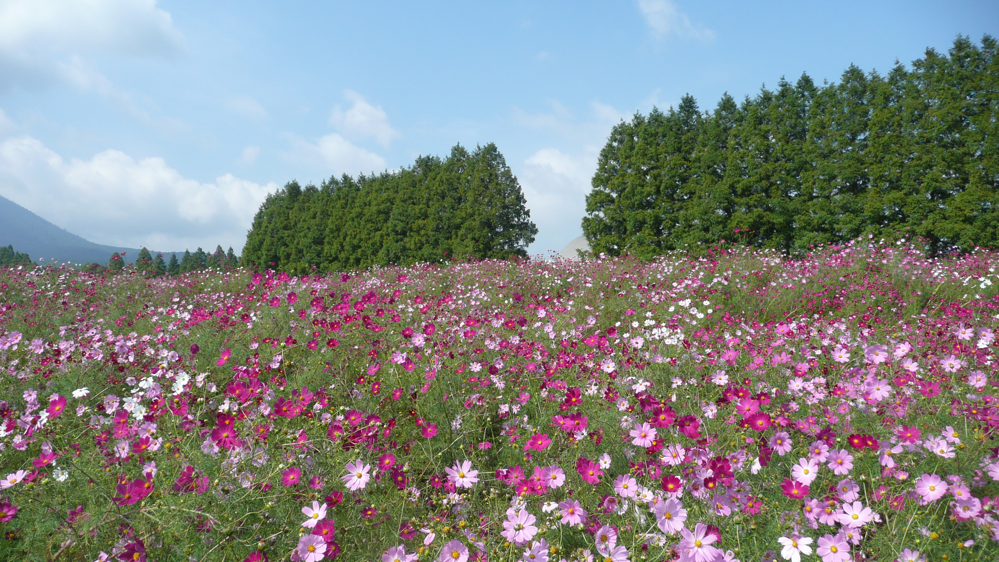 Kobayashi, Japan
