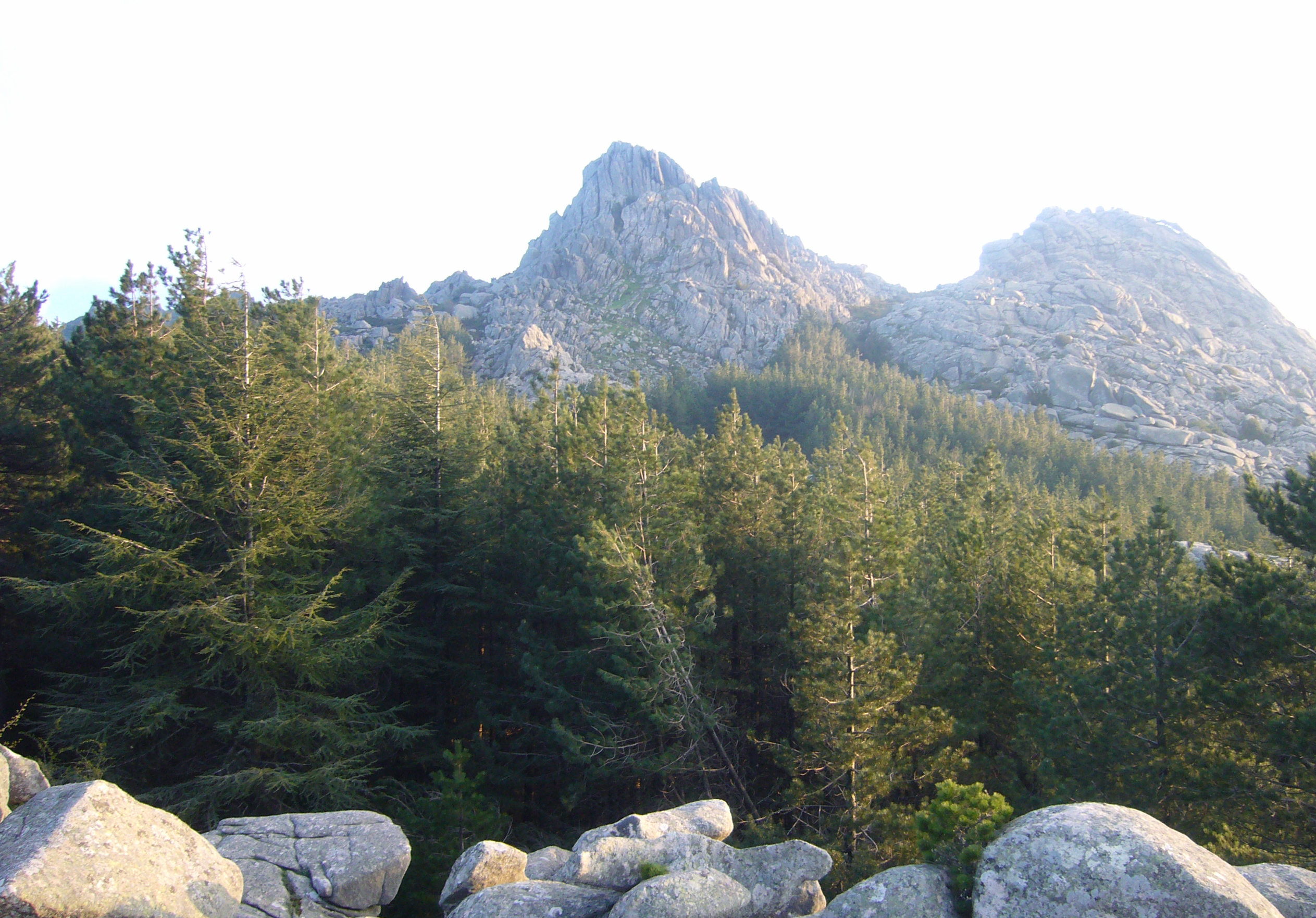 Mount Limbara