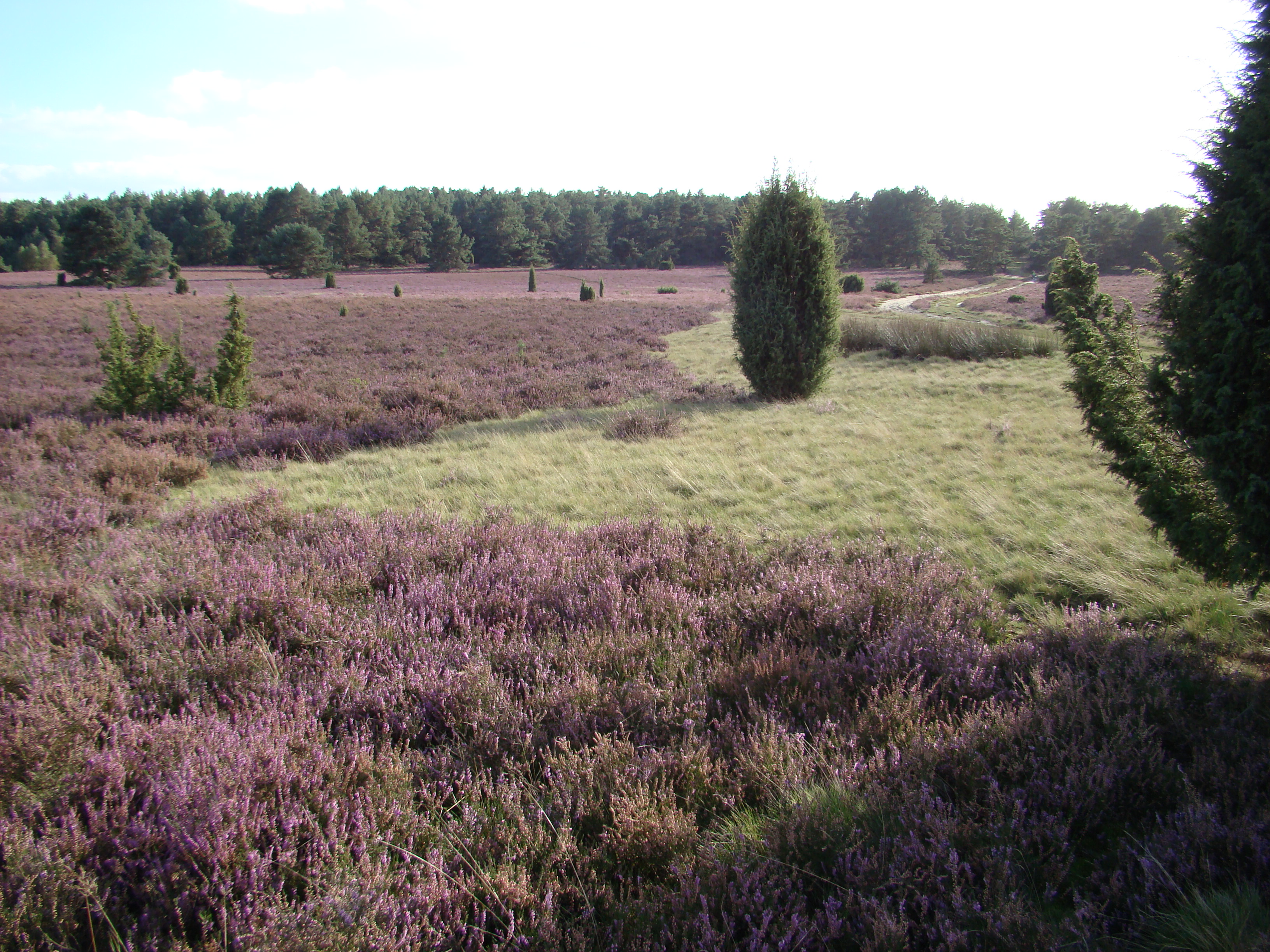 Haußelberg