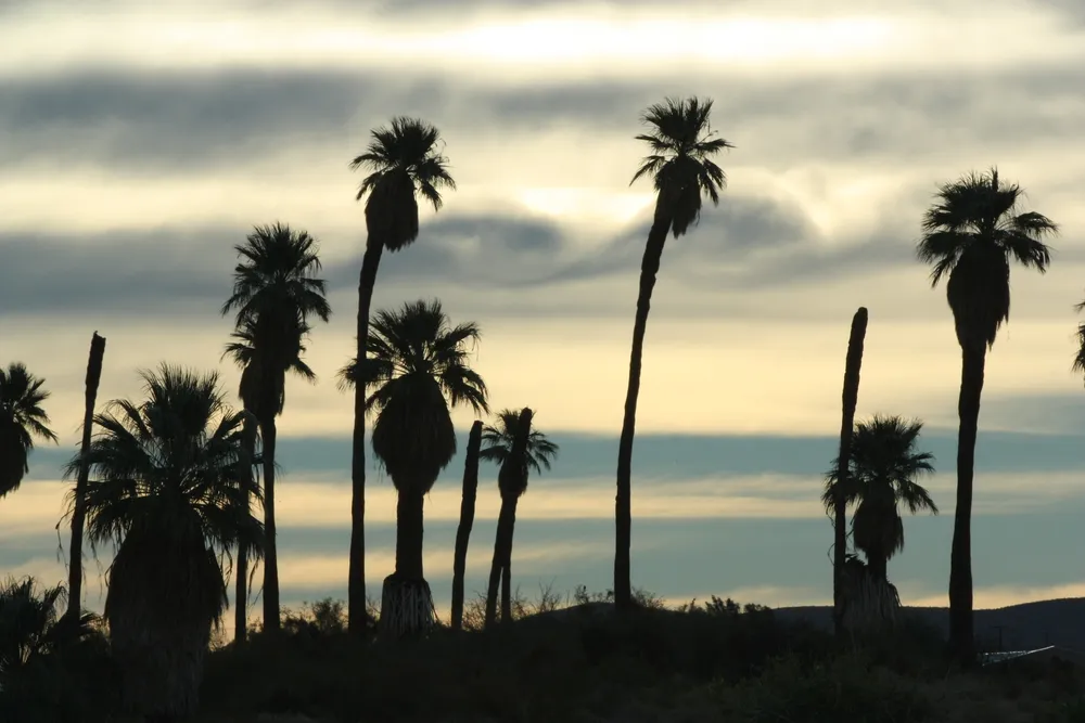 Twentynine Palms, United States