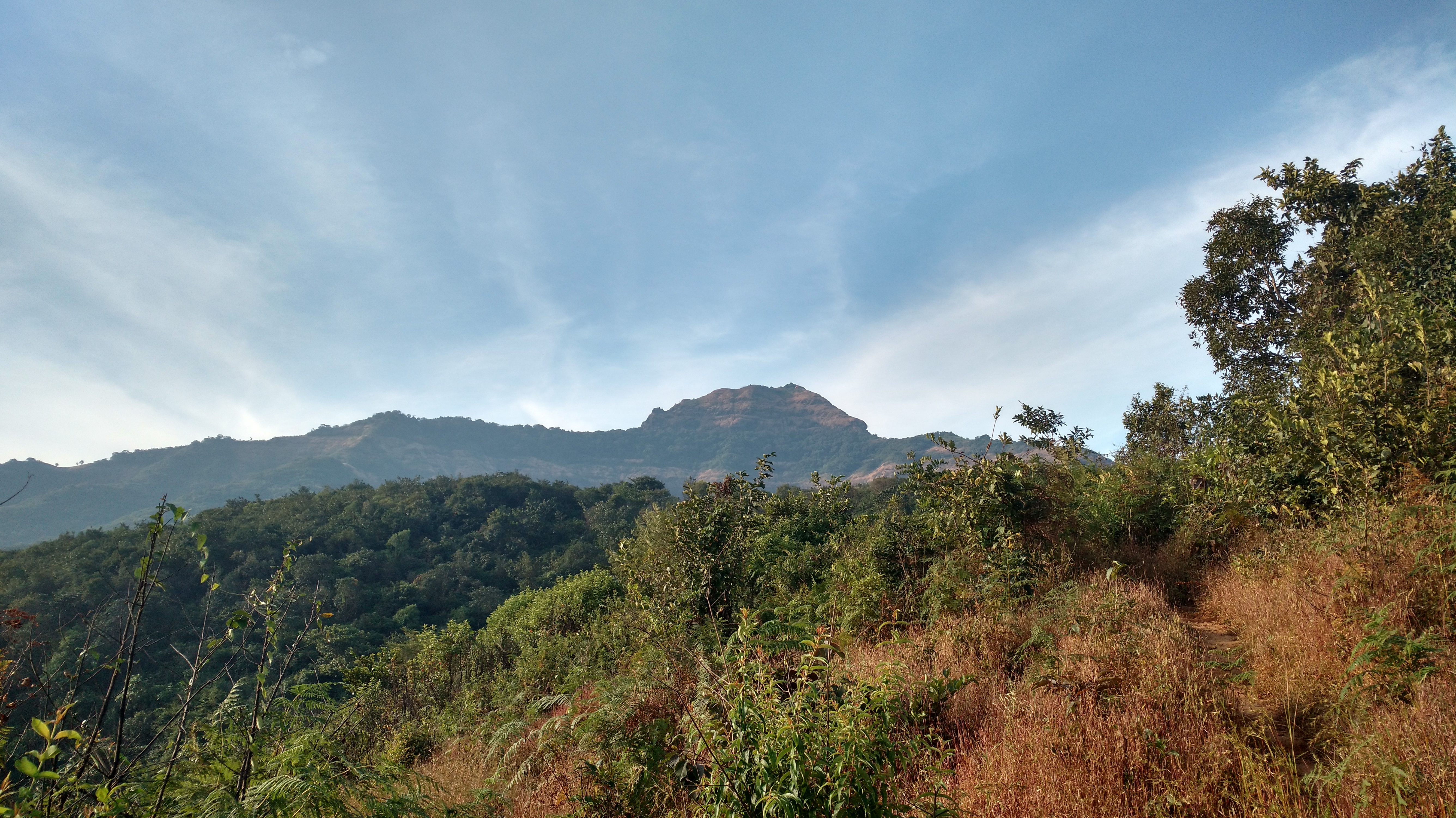 Mohangad