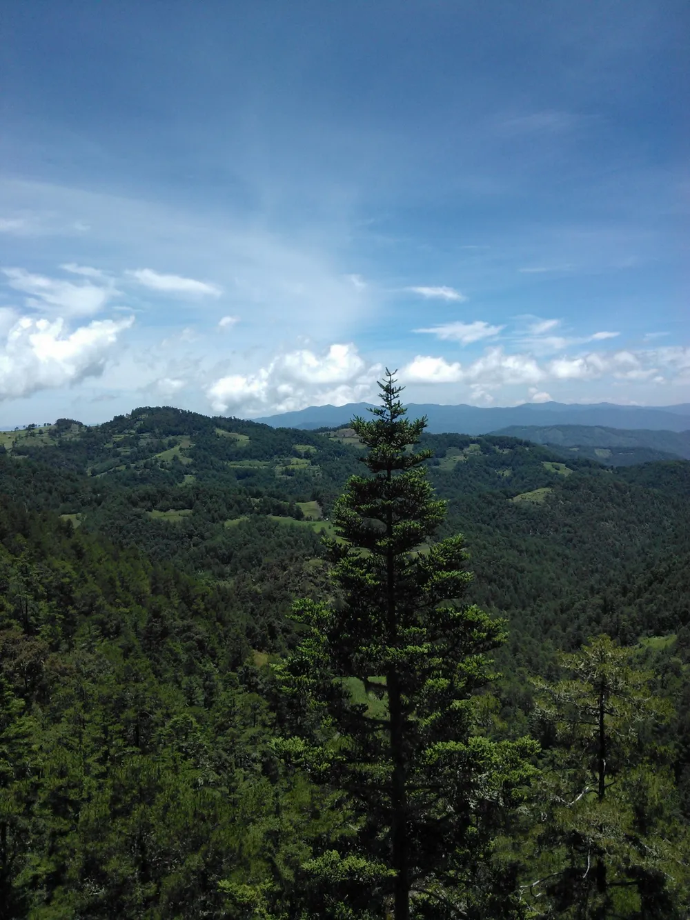 Sierra Norte (Oaxaca)