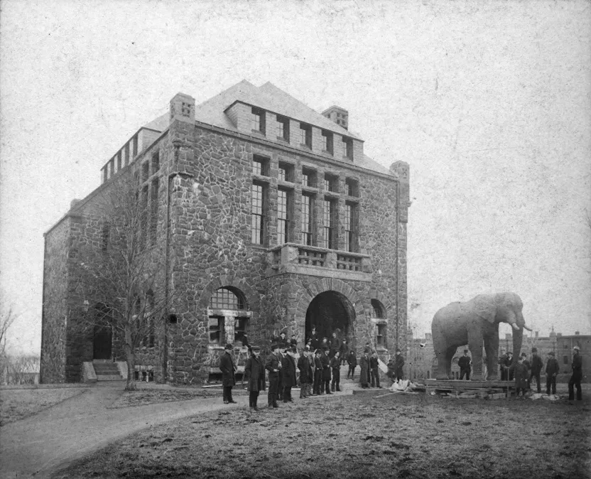 Barnum Museum of Natural History
